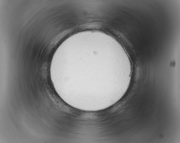 X0000114201162200911200953