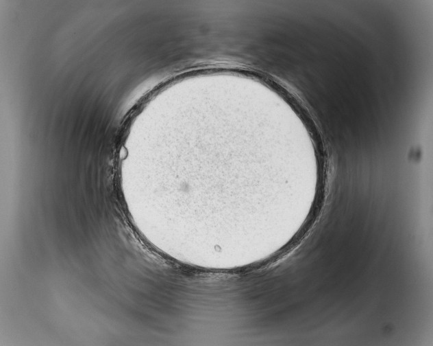 X0000114201163200911200953