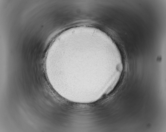 X0000114201164200911200953