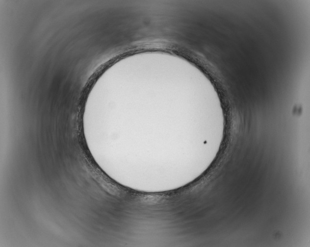 X0000114201166200911200953