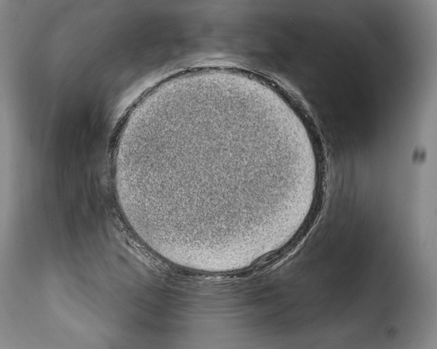 X0000114201167200911200953