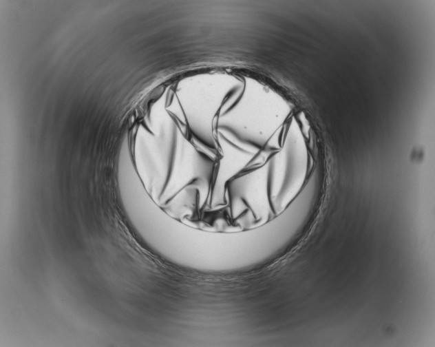 X0000114201169200911200953