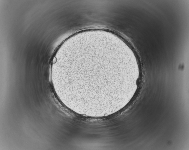 X0000114201171200911200953