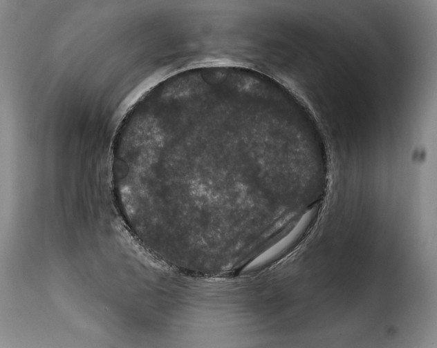 X0000114201173200911200953