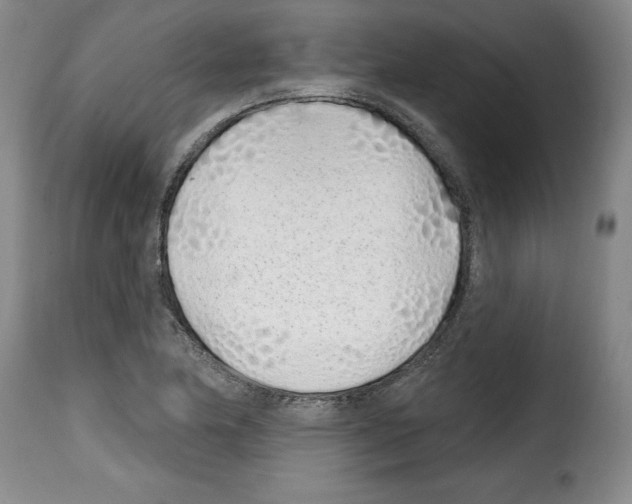 X0000114201174200911200953