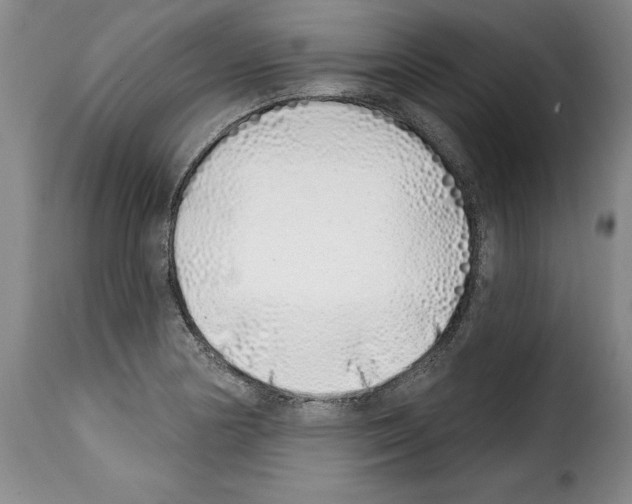 X0000114201178200911200953