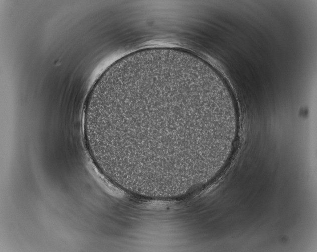 X0000114201179200911200953