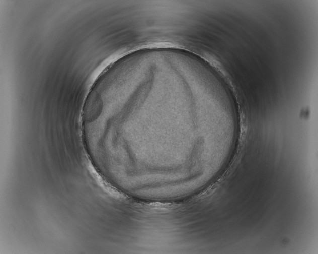 X0000114201181200911200953