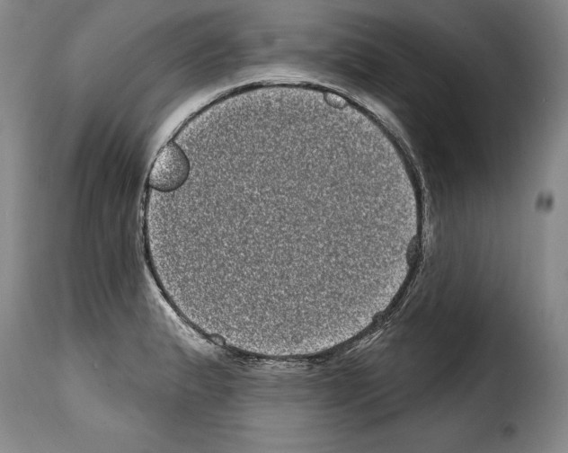 X0000114201183200911200953