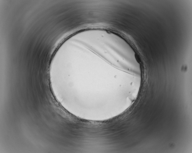 X0000114201184200911200953