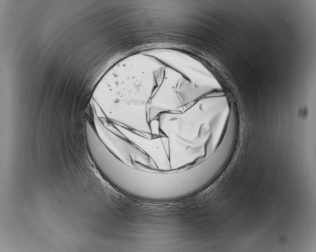 X0000114201185200911200953