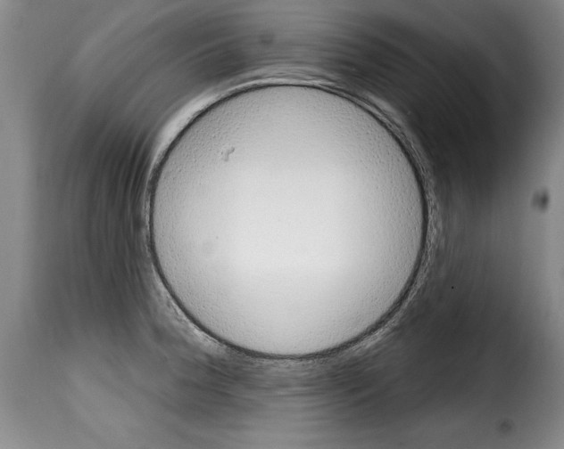 X0000114201188200911200953