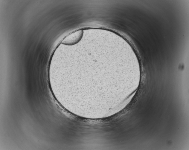 X0000114201191200911200953