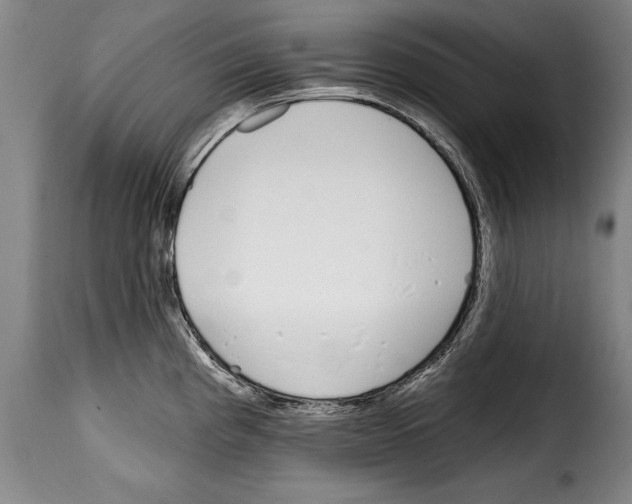 X0000114201193200911200953