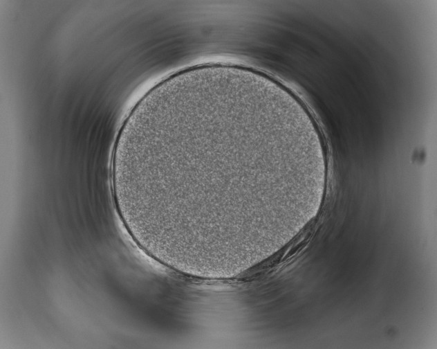 X0000114201199200911200952