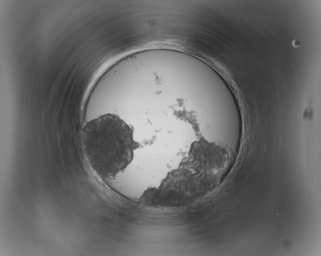 X0000114201200200911200952