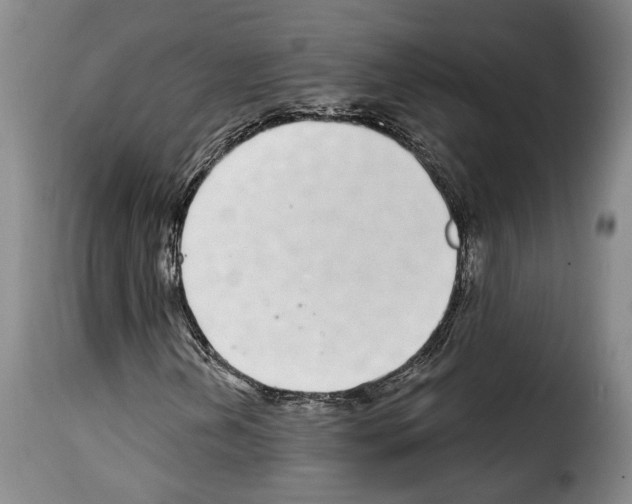 X0000114201202200911200952