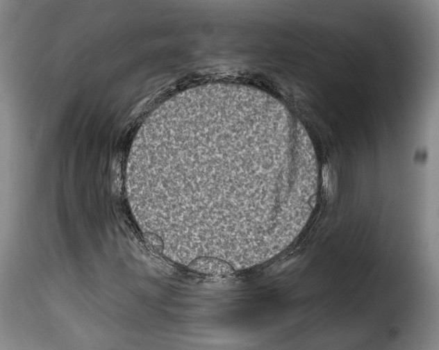 X0000114201203200911200952