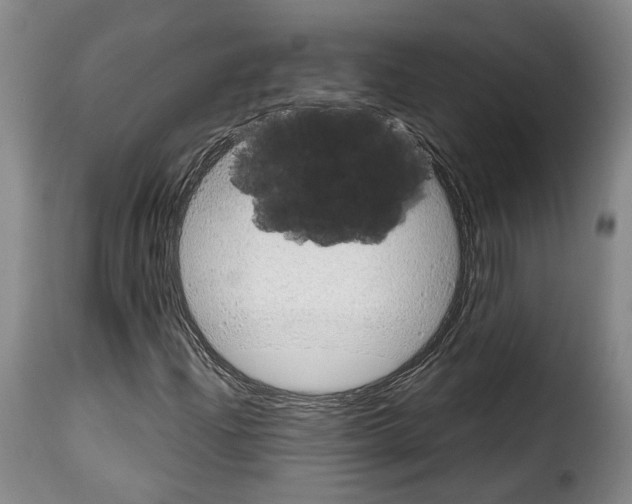 X0000114201204200911200952