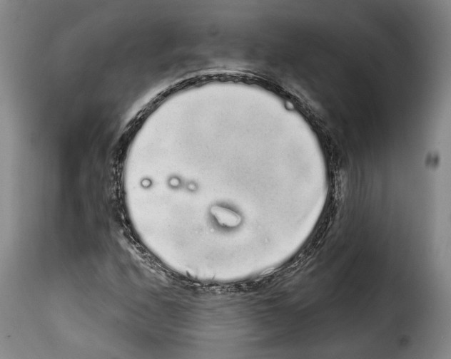 X0000114201208200911200952