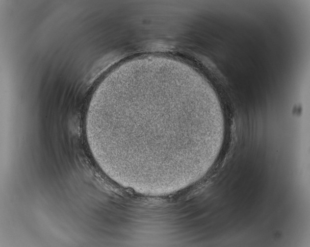 X0000114201209200911200952