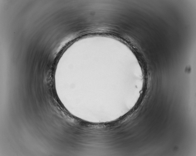 X0000114201210200911200952