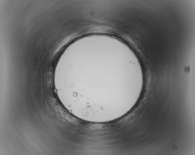 X0000114201211200911200952