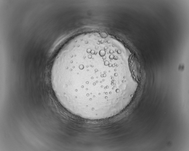 X0000114201215200911200952