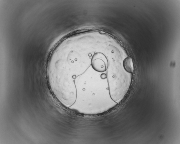 X0000114201216200911200952