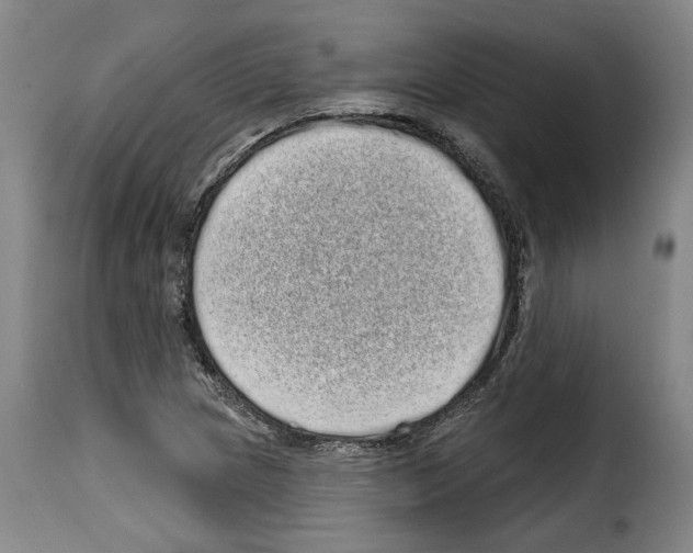 X0000114201217200911200952