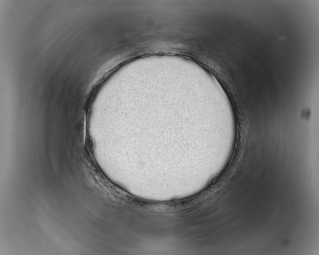 X0000114201219200911200952