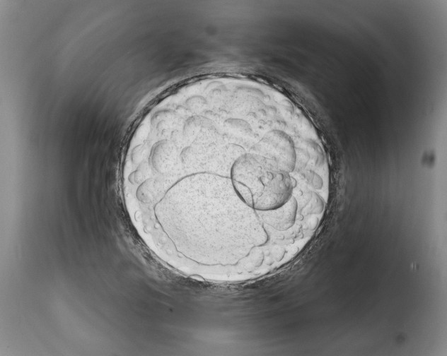 X0000114201220200911200952