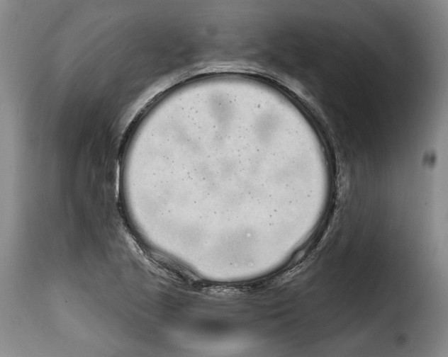 X0000114201221200911200952