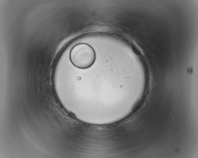 X0000114201222200911200952