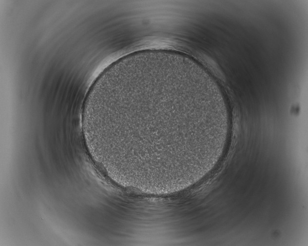 X0000114201226200911200952