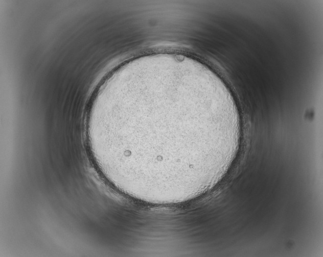 X0000114201227200911200952