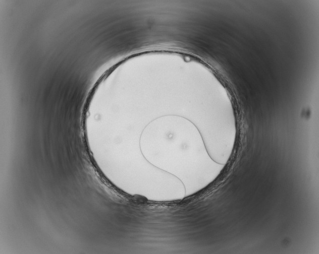 X0000114201230200911200952