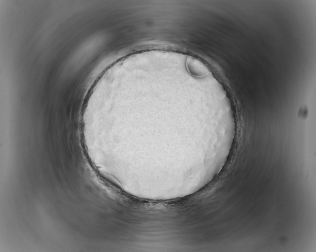 X0000114201231200911200952