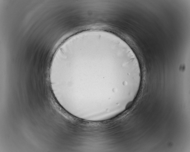 X0000114201232200911200952