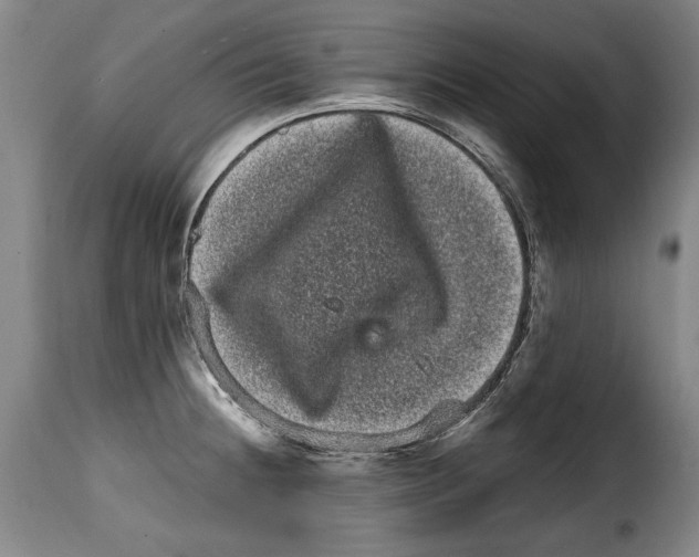 X0000114201236200911200952