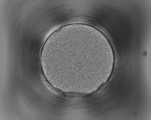 X0000114201242200911200952