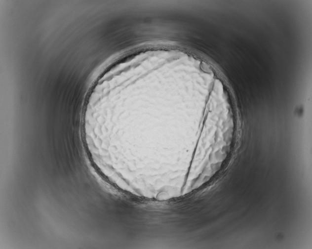 X0000114201245200911200952