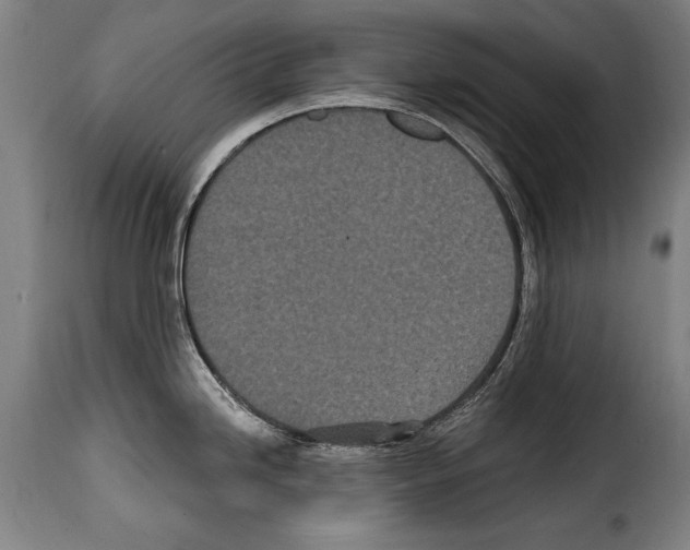 X0000114201246200911200952