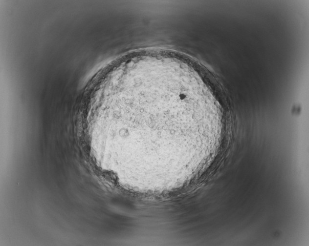 X0000114201255200911200952