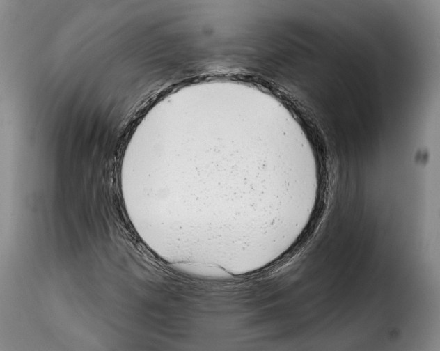 X0000114201257200911200951