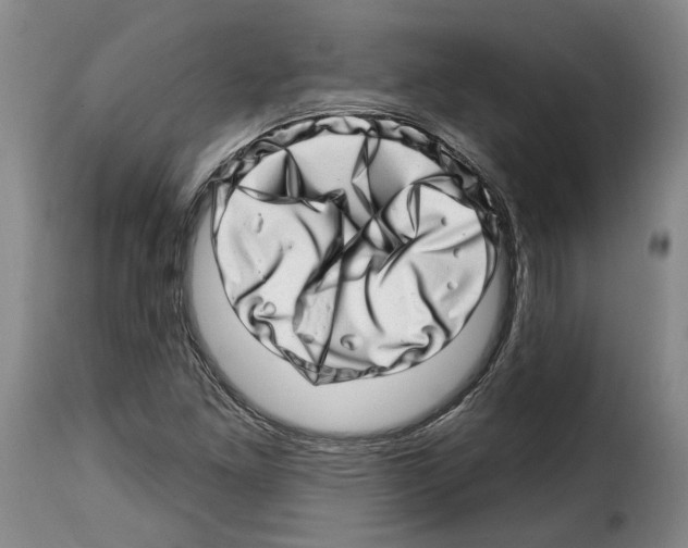 X0000114201261200911200951