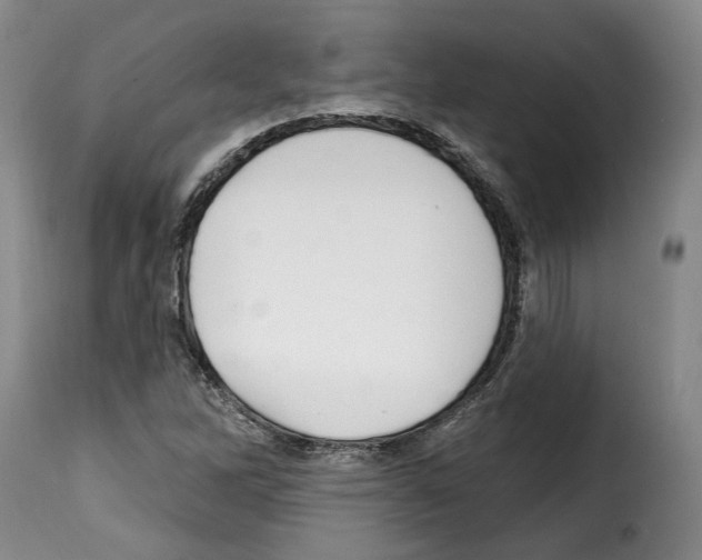 X0000114201262200911200951