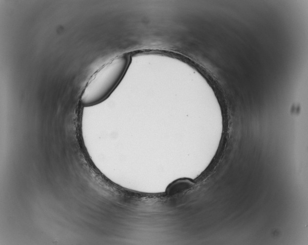 X0000114201264200911200951