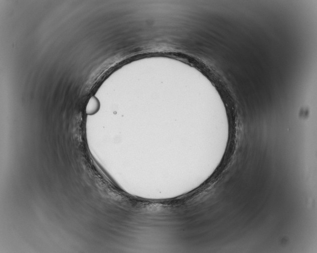 X0000114201265200911200951