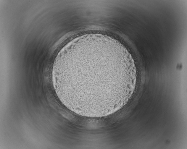 X0000114201266200911200951